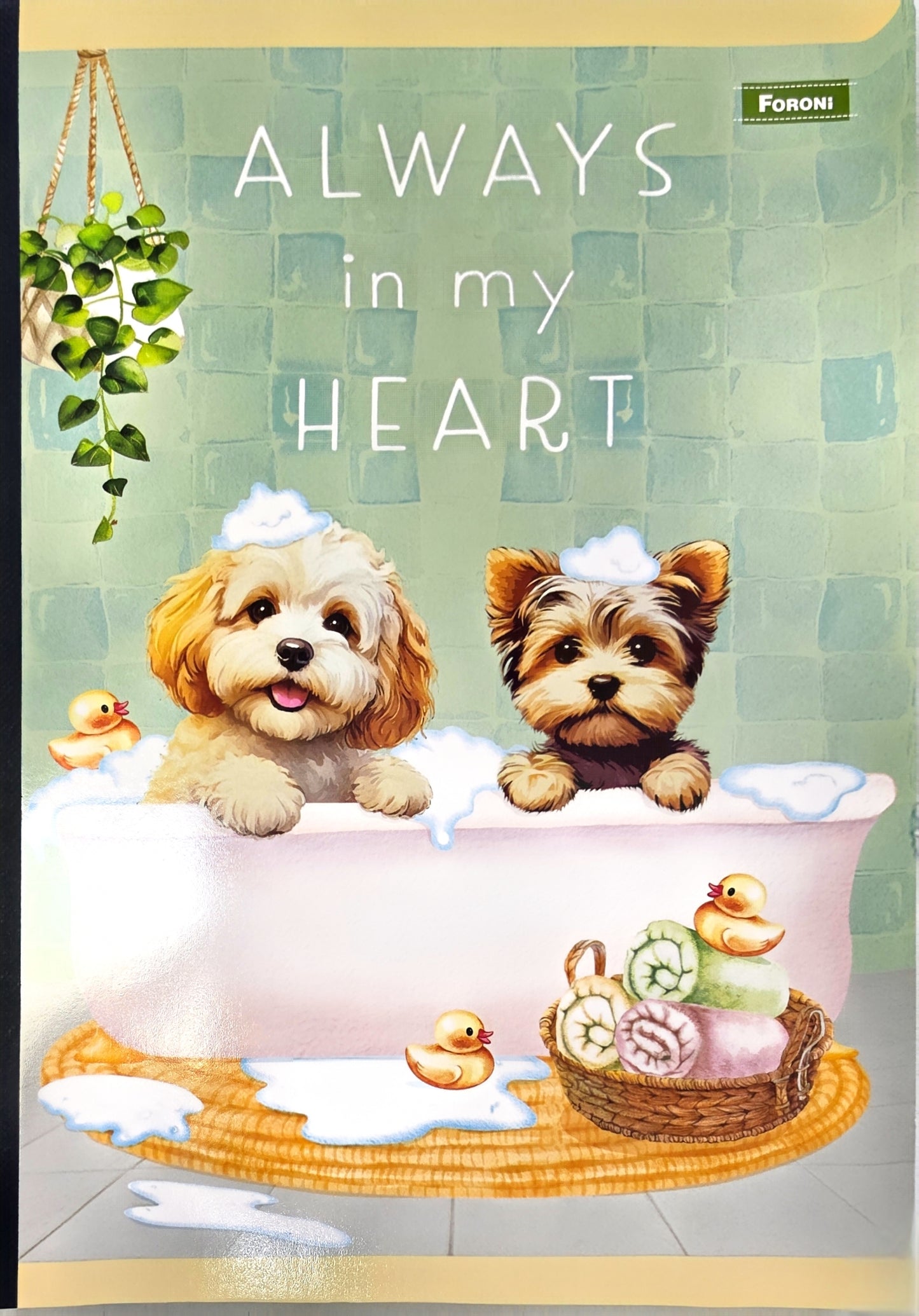 Libretas Cosidas Foroni Furfriends