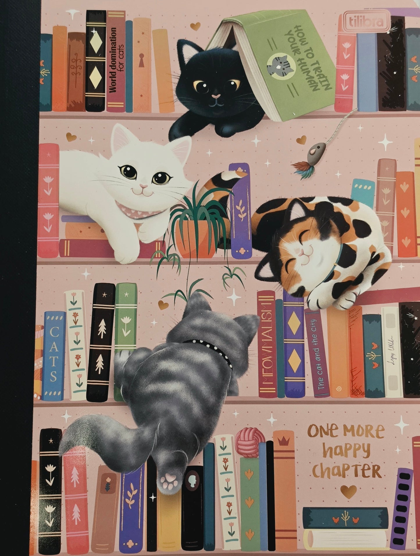 Libretas Cosidas Tilibra Diseños De Gatos